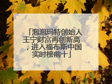 泡泡玛特创始人王宁财富再创新高，进入福布斯中国实时榜前十