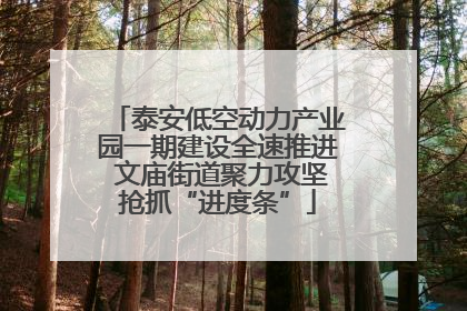 泰安低空动力产业园一期建设全速推进 文庙街道聚力攻坚抢抓“进度条”