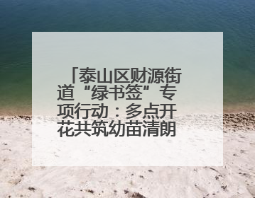 泰山区财源街道“绿书签”专项行动：多点开花共筑幼苗清朗成长空间