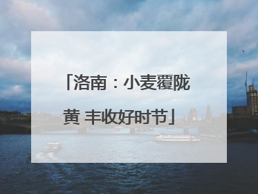 洛南：小麦覆陇黄 丰收好时节