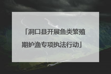 洞口县开展鱼类繁殖期护渔专项执法行动