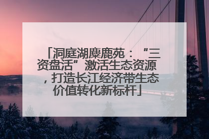 洞庭湖麋鹿苑：“三资盘活”激活生态资源，打造长江经济带生态价值转化新标杆