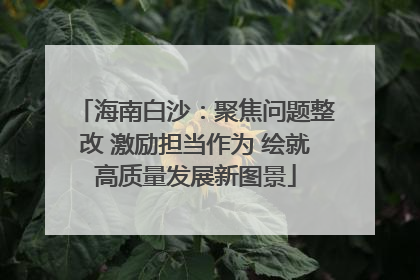 海南白沙：聚焦问题整改 激励担当作为 绘就高质量发展新图景