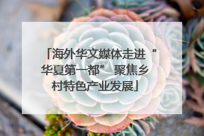 海外华文媒体走进“华夏第一都” 聚焦乡村特色产业发展