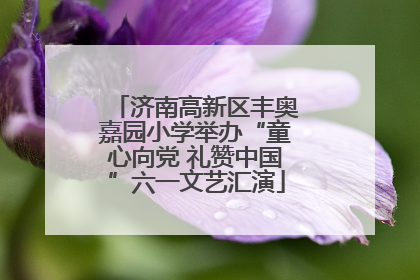 济南高新区丰奥嘉园小学举办“童心向党 礼赞中国”六一文艺汇演