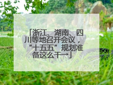 浙江、湖南、四川等地召开会议，“十五五”规划准备这么干→