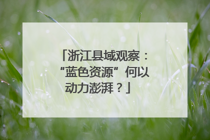 浙江县域观察：“蓝色资源”何以动力澎湃？