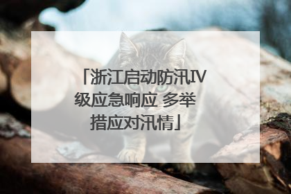 浙江启动防汛Ⅳ级应急响应 多举措应对汛情