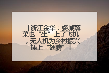 浙江金华：婺城蔬菜也“坐”上了飞机，无人机为乡村振兴插上“翅膀”