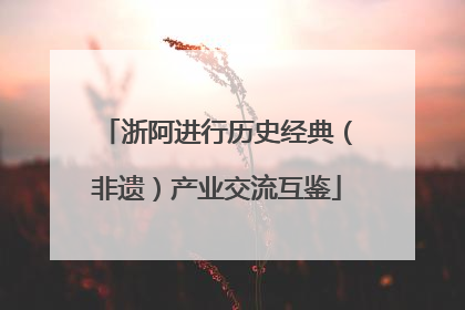 浙阿进行历史经典（非遗）产业交流互鉴