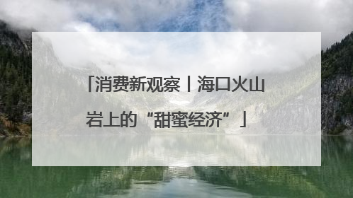 消费新观察丨海口火山岩上的“甜蜜经济”