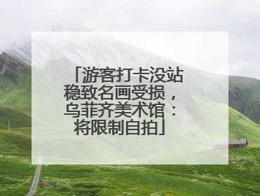 游客打卡没站稳致名画受损，乌菲齐美术馆：将限制自拍