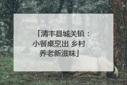 清丰县城关镇：小餐桌烹出 乡村养老新滋味