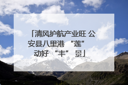 清风护航产业旺 公安县八里港 “莲” 动好 “丰” 景