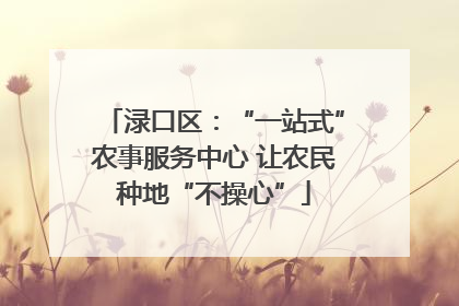 渌口区：“一站式”农事服务中心 让农民种地“不操心”