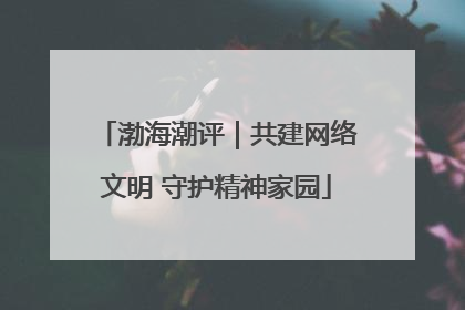 渤海潮评｜共建网络文明 守护精神家园