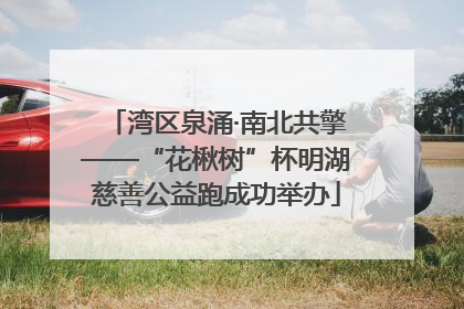 湾区泉涌·南北共擎——“花楸树”杯明湖慈善公益跑成功举办