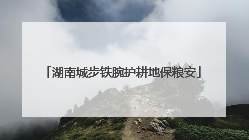 湖南城步铁腕护耕地保粮安