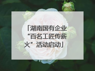 湖南国有企业“百名工匠传薪火”活动启动