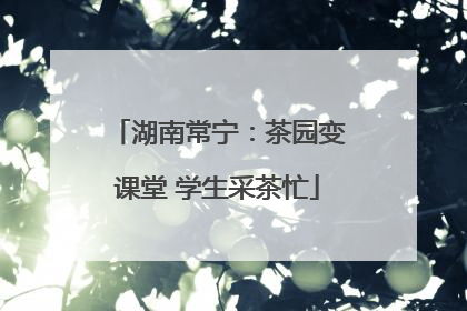 湖南常宁：茶园变课堂 学生采茶忙