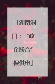 湖南洞口：“政企联合”保供电