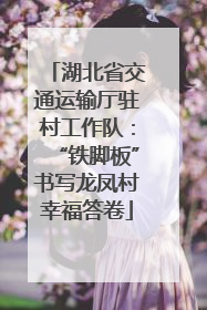 湖北省交通运输厅驻村工作队：“铁脚板”书写龙凤村幸福答卷