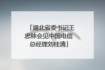 湖北省委书记王忠林会见中国电信总经理刘桂清