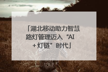 湖北移动助力智慧路灯管理迈入“AI＋灯链”时代