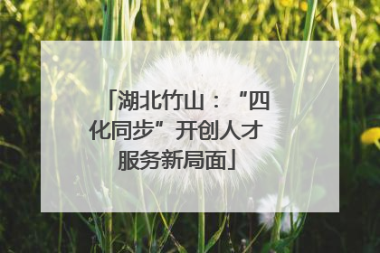湖北竹山：“四化同步”开创人才服务新局面