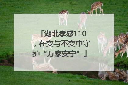 湖北孝感110，在变与不变中守护“万家安宁”