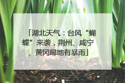 湖北天气：台风“蝴蝶”来袭，荆州、咸宁、黄冈局地有暴雨