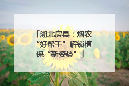 湖北房县：烟农“好帮手”解锁植保“新姿势”