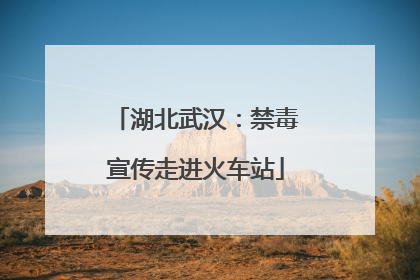 湖北武汉：禁毒宣传走进火车站