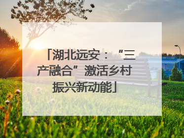 湖北远安：“三产融合”激活乡村振兴新动能