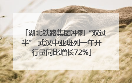 湖北铁路集团冲刺“双过半” 武汉中亚班列一年开行量同比增长72%