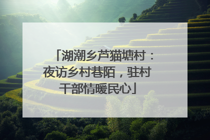 湖潮乡芦猫塘村：夜访乡村巷陌，驻村干部情暖民心