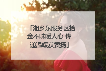 湘乡东服务区拾金不昧暖人心 传递温暖获赞扬