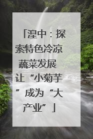 湟中：探索特色冷凉蔬菜发展 让“小菊芋”成为“大产业”