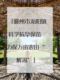 滕州市龙阳镇科学抗旱保苗 力保万亩农田“解渴”