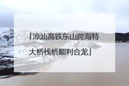 漳汕高铁东山跨海特大桥栈桥顺利合龙