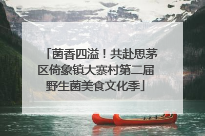 菌香四溢！共赴思茅区倚象镇大寨村第二届野生菌美食文化季