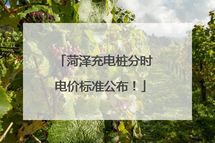 菏泽充电桩分时电价标准公布！