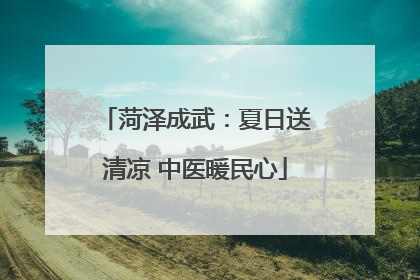 菏泽成武：夏日送清凉 中医暖民心