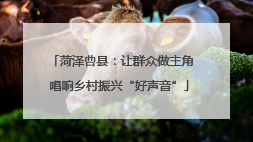 菏泽曹县：让群众做主角 唱响乡村振兴“好声音”