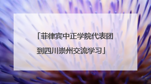 菲律宾中正学院代表团到四川崇州交流学习