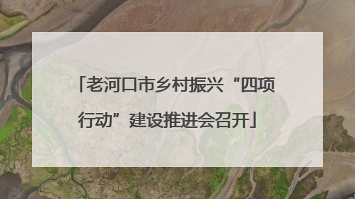 老河口市乡村振兴“四项行动”建设推进会召开