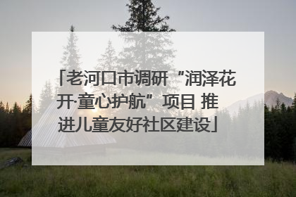 老河口市调研“润泽花开·童心护航”项目 推进儿童友好社区建设