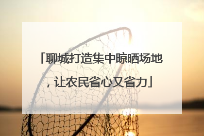 聊城打造集中晾晒场地，让农民省心又省力