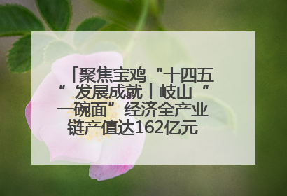 聚焦宝鸡“十四五”发展成就丨岐山“一碗面”经济全产业链产值达162亿元 入选全国典型县