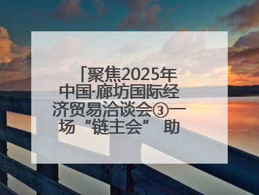 聚焦2025年中国·廊坊国际经济贸易洽谈会③一场“链主会” 助力厂商破圈发展